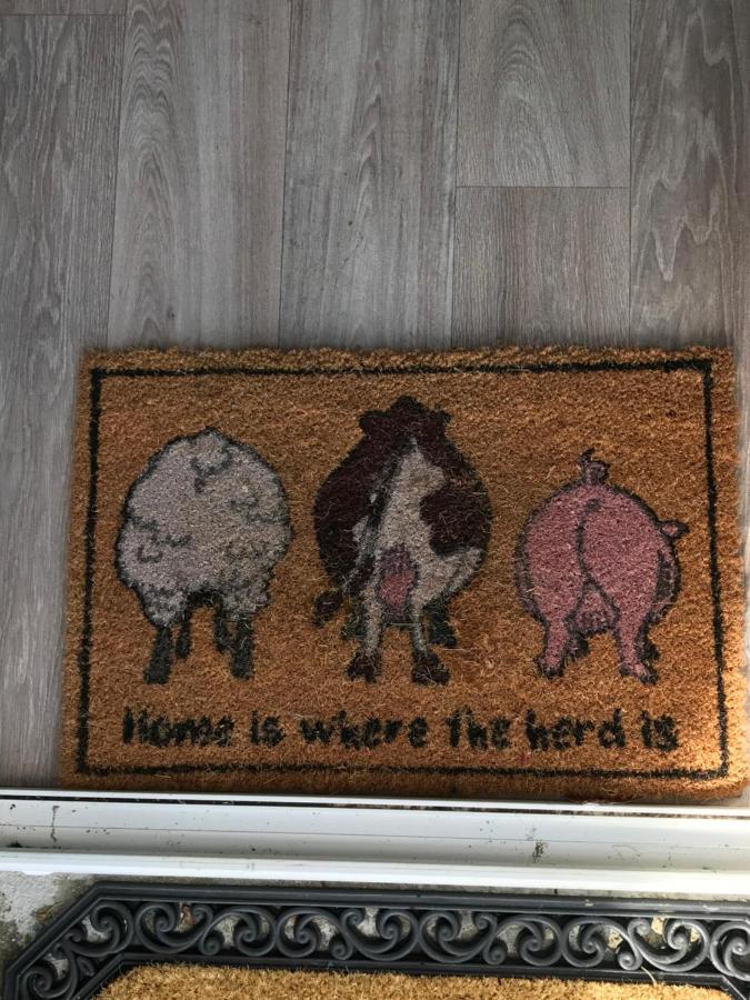 Brigid M'S Farm House Killashandra Bagian luar foto