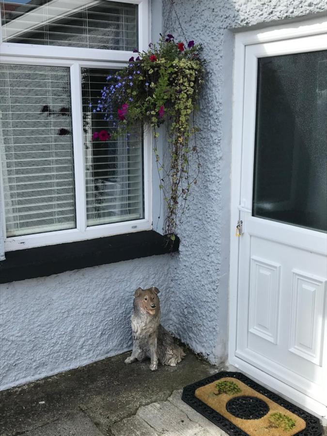 Brigid M'S Farm House Killashandra Bagian luar foto