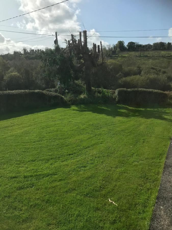 Brigid M'S Farm House Killashandra Bagian luar foto